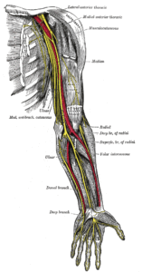 nerves, pit, neuro prolo, Prolotherapy, Houston sports medicine