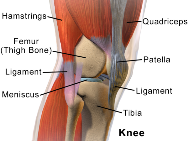 knee pain, knee OA